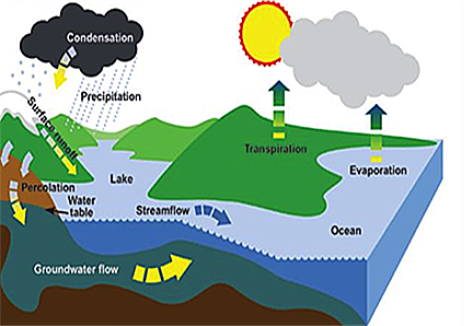 Hydro cycle